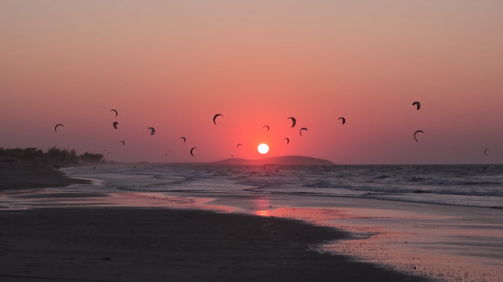 Kites silhouetted against the sunset in Preá
